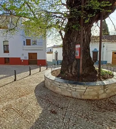 Casa Maricolilla Holiday home