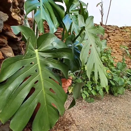 Casa Maricolilla * Cortelazor