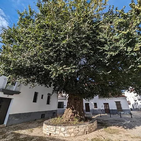 Casa Maricolilla Cortelazor