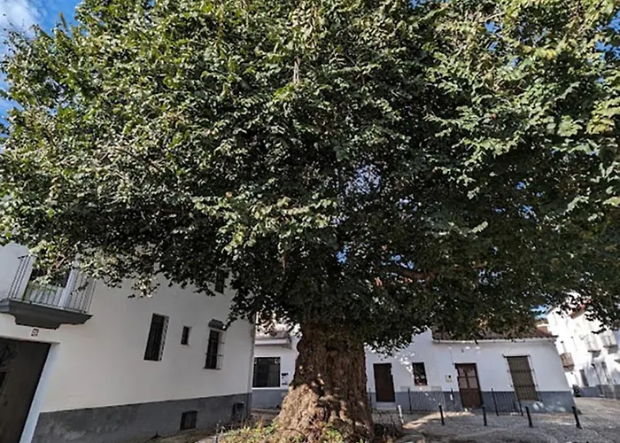 Casa Maricolilla Cortelazor